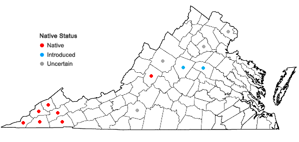 Locations ofFrangula caroliniana (Walter) A. Gray in Virginia