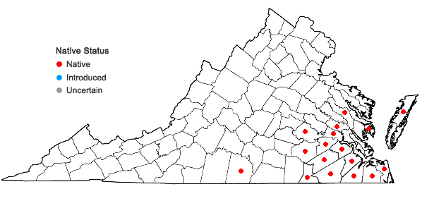 Locations ofFraxinus caroliniana P. Miller in Virginia
