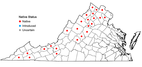 Locations ofFraxinus nigra Marshall in Virginia