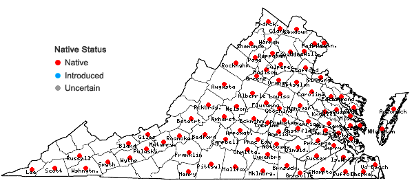 Locations ofFraxinus pennsylvanica Marshall in Virginia