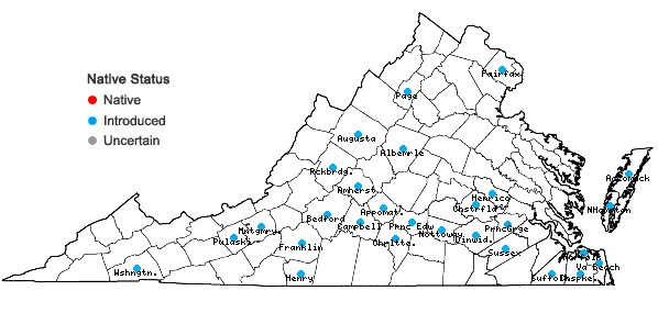 Locations ofFroelichia gracilis (Hook.) Moq. in Virginia