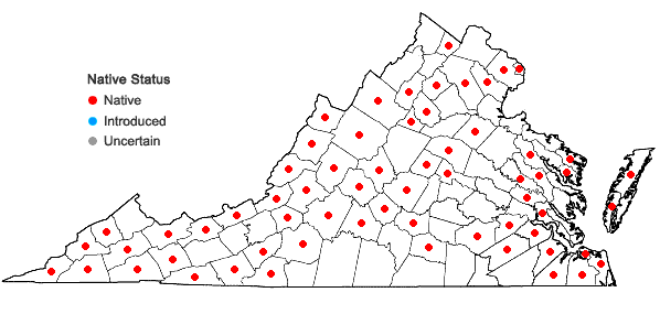 Locations ofFrullania asagrayana Montagne in Virginia
