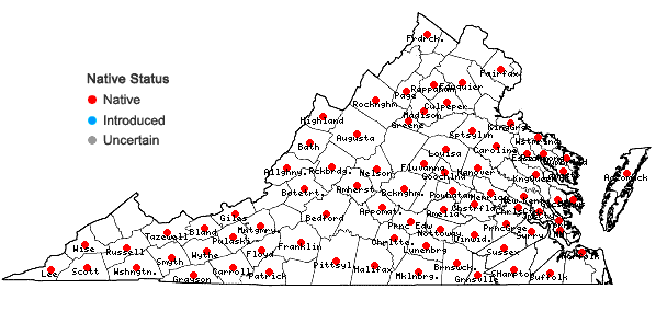 Locations ofFrullania eboracensis Gottsche ssp. eboracensis in Virginia