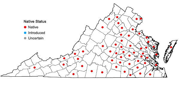Locations ofFrullania inflata Gottsche in Virginia