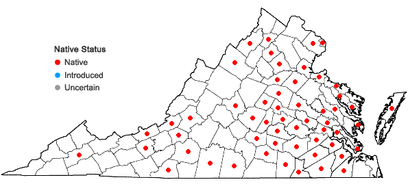 Locations ofFrullania inflata Gottsche in Virginia