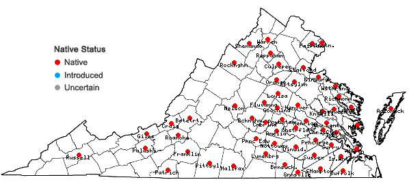 Locations ofFrullania inflata Gottsche in Virginia