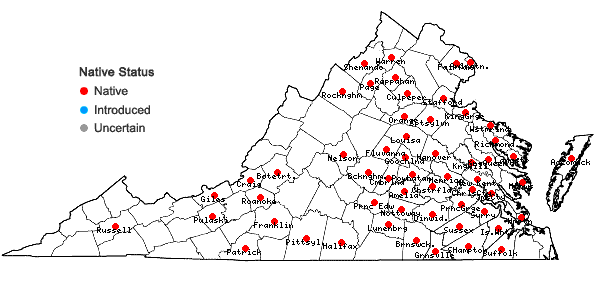 Locations ofFrullania inflata Gottsche in Virginia