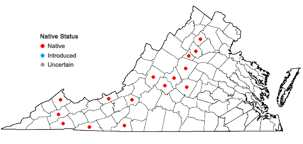 Locations ofFrullania plana Sullivant in Virginia