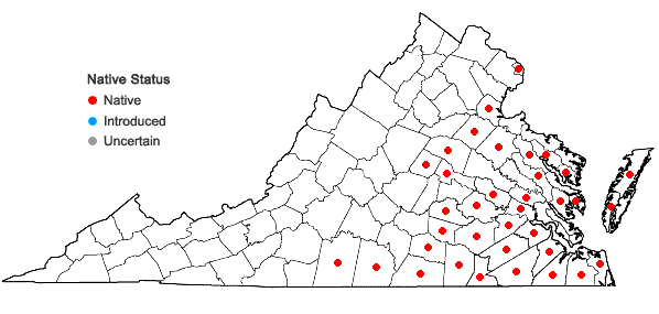Locations ofFuirena squarrosa Michaux in Virginia