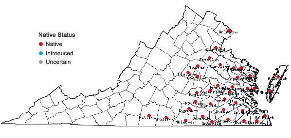 Locations ofFuirena squarrosa Michaux in Virginia