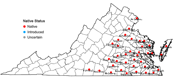 Locations ofFuirena squarrosa Michaux in Virginia