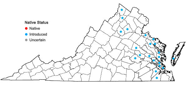 Locations ofFumaria officinalis L. in Virginia