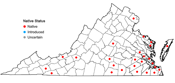 Locations ofFuscocephaloziopsis catenulata (Huebener) Vana & Söderstr. in Virginia