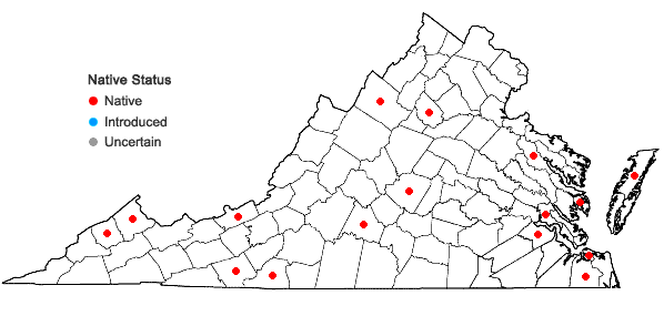 Locations ofFuscocephaloziopsis connivens (Dicks.) Vana & Södertsr. in Virginia