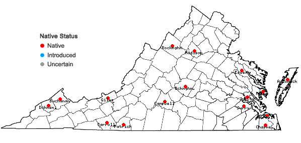 Locations ofFuscocephaloziopsis connivens (Dicks.) Vana & Söderstr. in Virginia