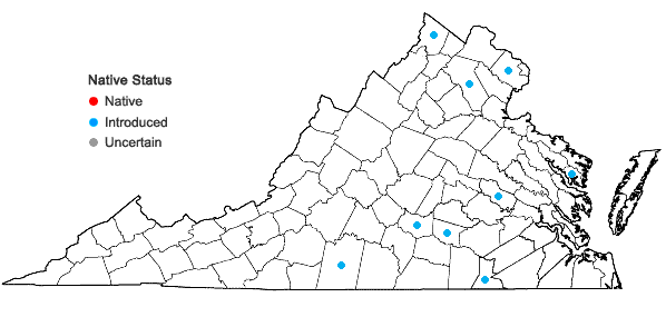 Locations ofGaillardia pulchella Foug. var. pulchella in Virginia