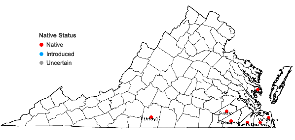 Locations ofGalactia brachypoda Torrey & A. Gray in Virginia