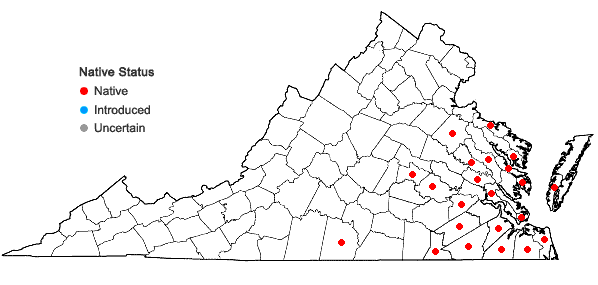 Locations ofGalactia volubilis (L.) Britt var. volubilis in Virginia