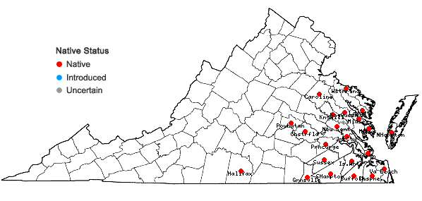 Locations ofGalactia volubilis (L.) Britt var. volubilis in Virginia