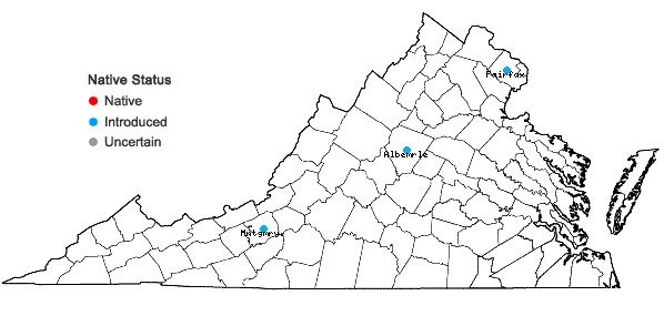 Locations ofGalanthus nivalis L. in Virginia