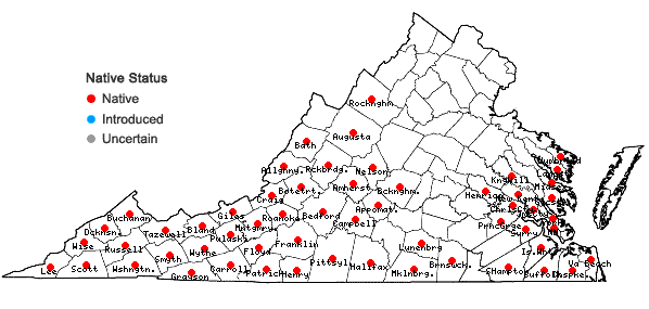 Locations ofGalax urceolata (Poir.) Brummitt in Virginia