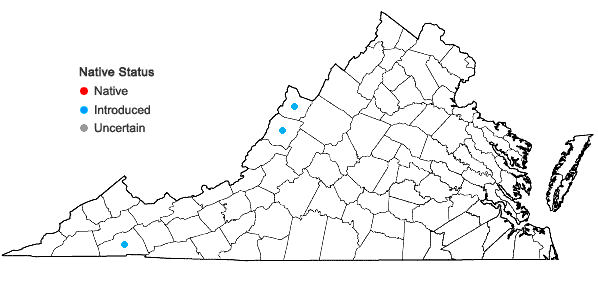 Locations ofGaleopsis bifida Boenn. in Virginia