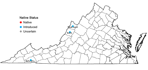 Locations ofGaleopsis bifida Boenn. in Virginia