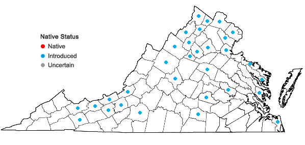Locations ofGalinsoga parviflora Cav. in Virginia