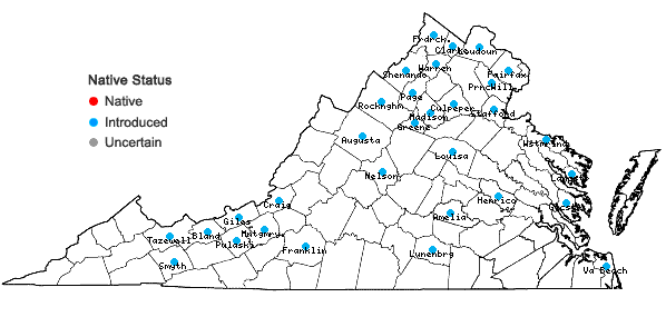 Locations ofGalinsoga parviflora Cav. var. parviflora in Virginia