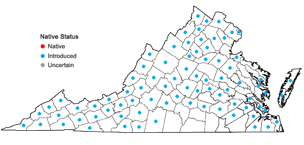 Locations ofGalinsoga quadriradiata Ruiz & Pavon in Virginia