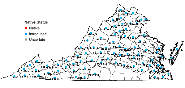 Locations ofGalinsoga quadriradiata Ruiz & Pavon in Virginia