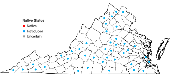 Locations ofGalium anglicum Hudson in Virginia