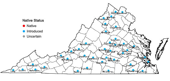 Locations ofGalium anglicum Hudson in Virginia
