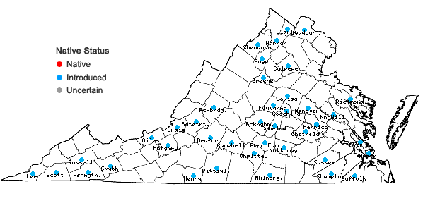Locations ofGalium anglicum Hudson in Virginia