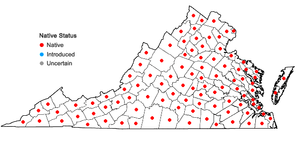 Locations ofGalium aparine L. in Virginia