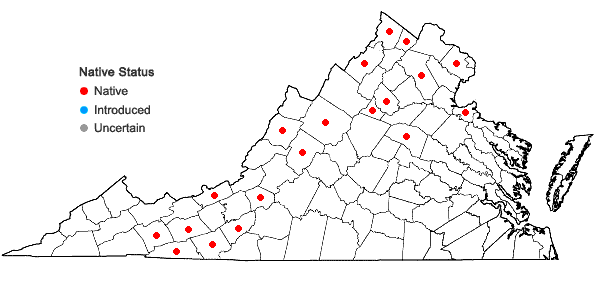 Locations ofGalium asprellum Michx. in Virginia
