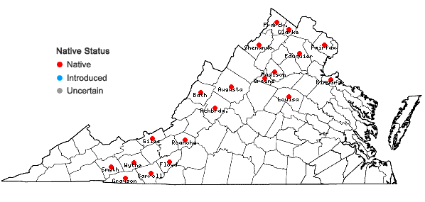 Locations ofGalium asprellum Michx. in Virginia