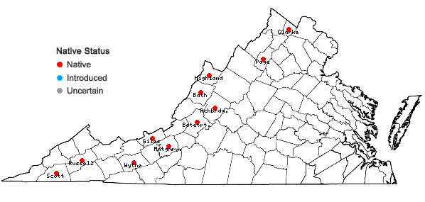 Locations ofGalium boreale L. in Virginia