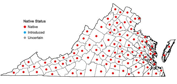 Locations ofGalium circaezans Michx. in Virginia