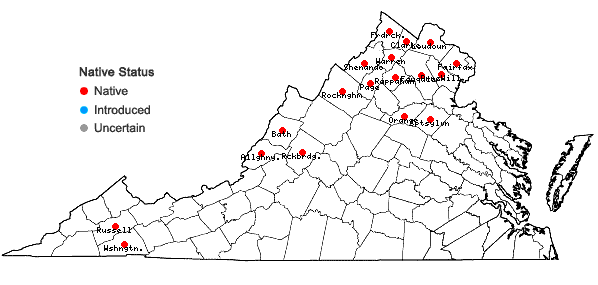 Locations ofGalium concinnum Torr. & Gray in Virginia