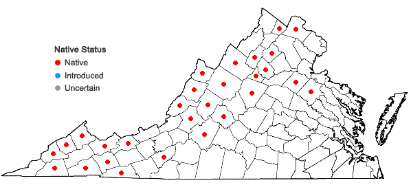 Locations ofGalium lanceolatum Torr. in Virginia