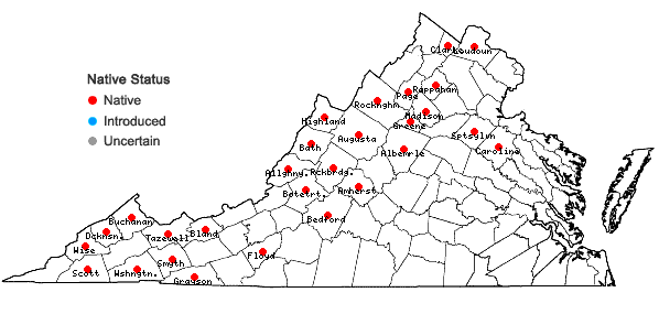Locations ofGalium lanceolatum Torr. in Virginia