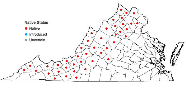 Locations ofGalium latifolium Michx. in Virginia