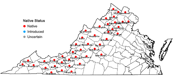 Locations ofGalium latifolium Michx. in Virginia