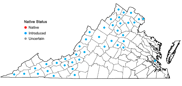 Locations ofGalium mollugo L. in Virginia