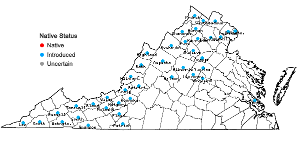 Locations ofGalium mollugo L. in Virginia