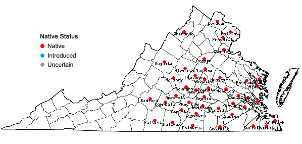 Locations ofGalium obtusum Bigelow var. filifolium (Wieg.) Fern. in Virginia