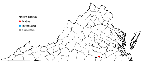 Locations ofGalium orizabense Hemsl. ssp. laevicaule (Weatherby & Blake) Dempster in Virginia