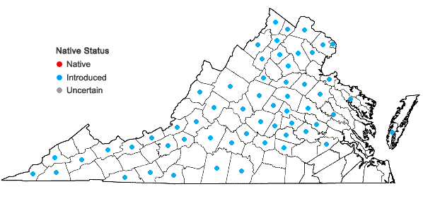 Locations ofGalium pedemontanum (Bellardi) Allioni in Virginia