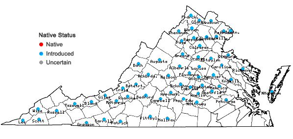 Locations ofGalium pedemontanum (Bellardi) Allioni in Virginia